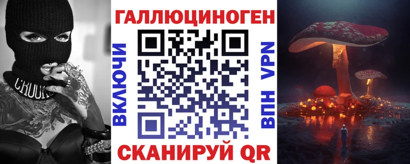 купить наркоту  Шенкурск  Галлюциногенные грибы мицелий 