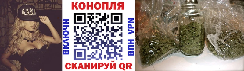 площадка наркотические препараты  Шенкурск  Каннабис семена 